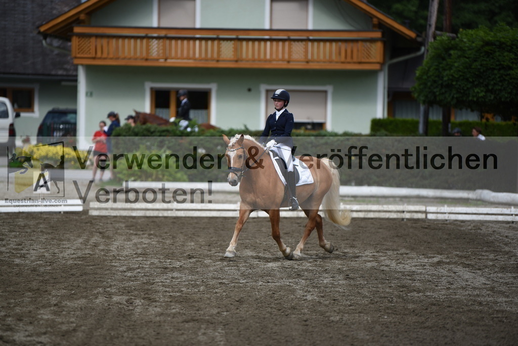 DSC_5018 | equestrian-live-com