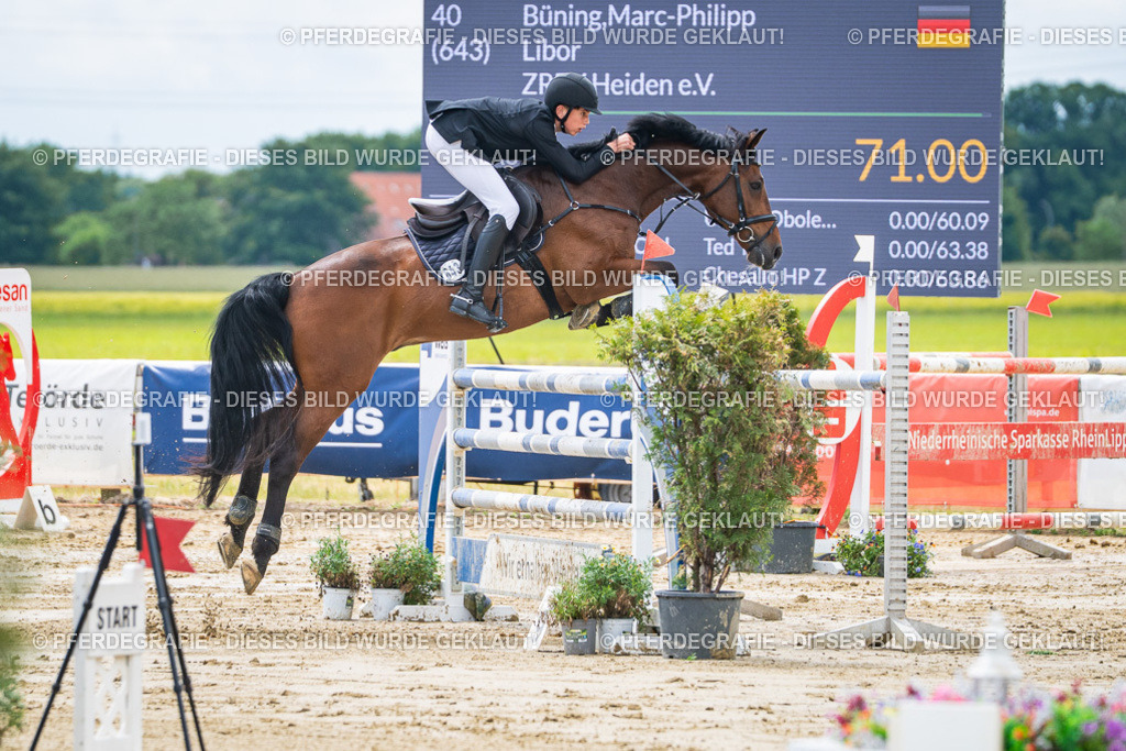 DSC04586 | Pferdegrafie