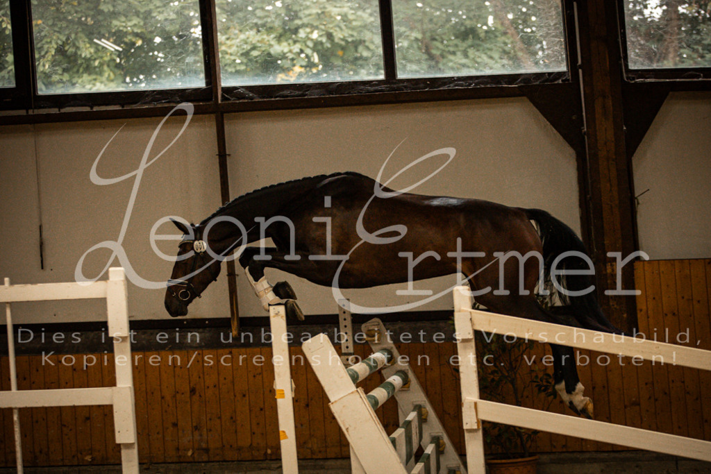 1FS_L00010 | Leoni Ertmer Photography - Realisiert mit Pictrs.com