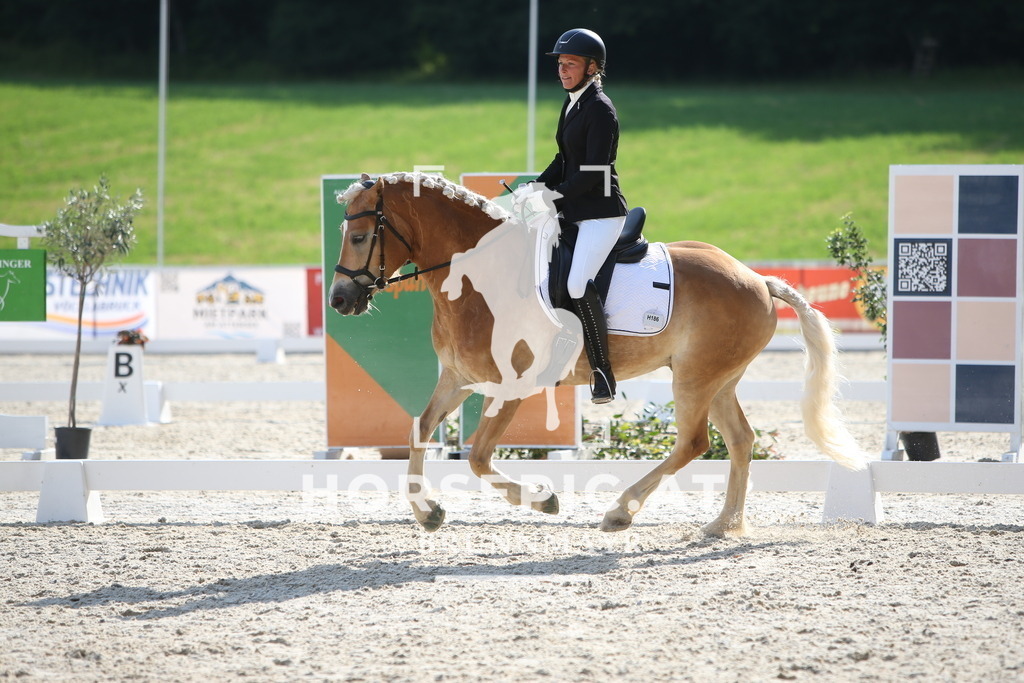 PP012509 | Willkommen bei Brunnmayr - Design & Fotografie – Ihrem Spezialisten für Reitturniere und Pferdeveranstaltungen in Oberösterreich, Salzburg und Bayern! Seit über 17 Jahren sind wir leidenschaftlich dabei.