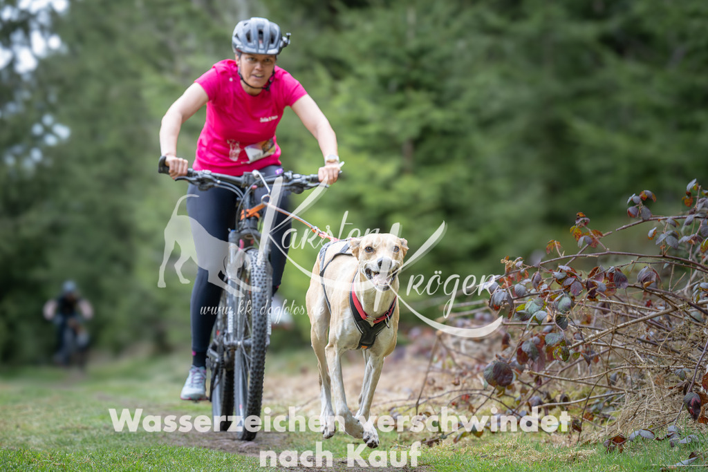 1310_ZZ93813 | kk-dogfotos