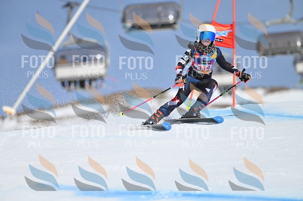 BGV_9696 | holidayphoto