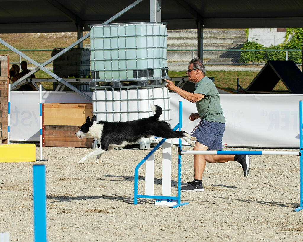 580B0079 | Peter Fridle Fotografie - Realisiert mit Pictrs.com