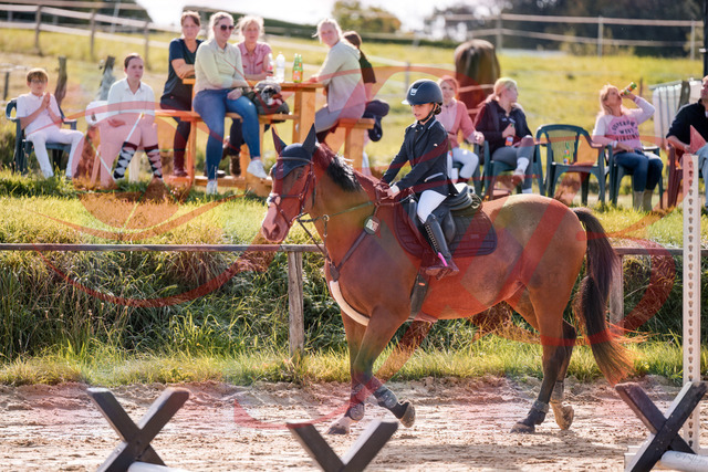 2026_10_03_Siefer-Hof_143833_Z81_09062983 | Professionelle Reitsport-, Turnier- und Eventfotografie von Robert Broda. Galerien mit ausgewählten und bearbeiteten Bildern direkt online ansehen und bestellen.