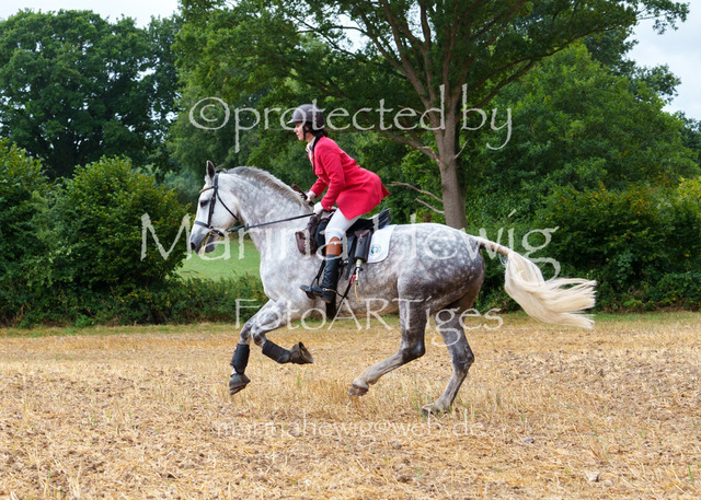 Jagd Knoop 26_MarinaHewigMCH02186 | Fotografie, FotoArt, PferdesportArt, Pferdesportfotografie, Landschaftsfotografie, Reisefotografie, Reise, Pferde - Realisiert mit Pictrs.com