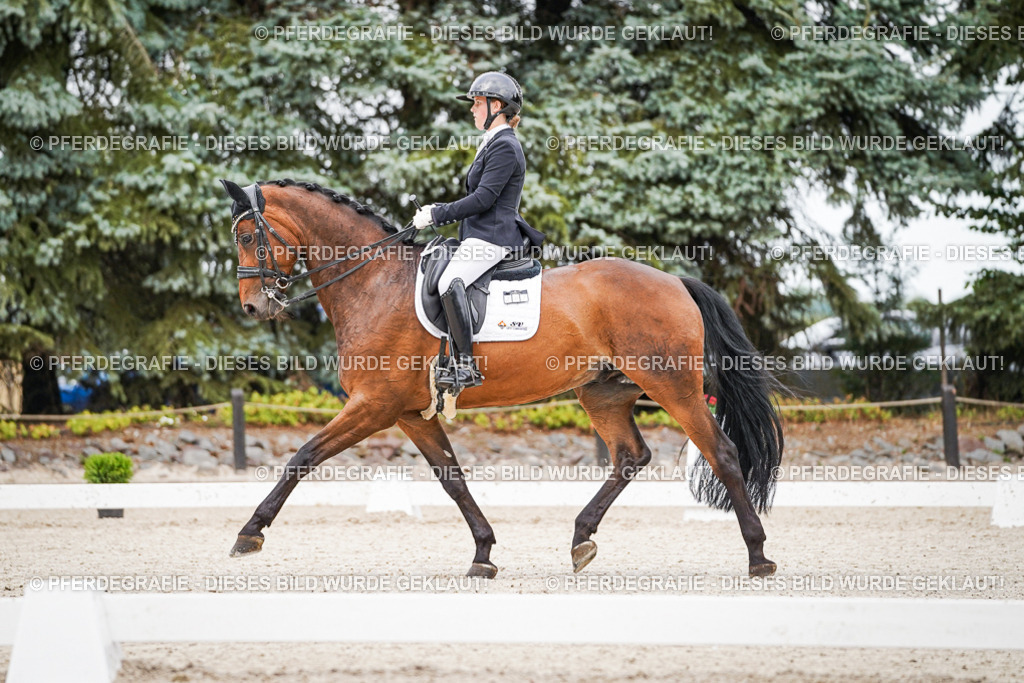 DSC08228 | Pferdegrafie