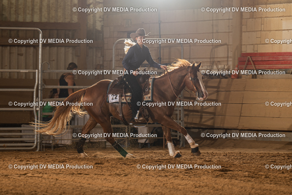 NID01997 | dv-media-shop - Realisiert mit Pictrs.com