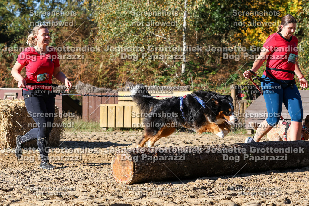 Dog Paparazzi - Strongdog 10-25-2210 | Dog Paparazzi Jeanette Grottendiek Fotografie & Videografie - Realisiert mit Pictrs.com