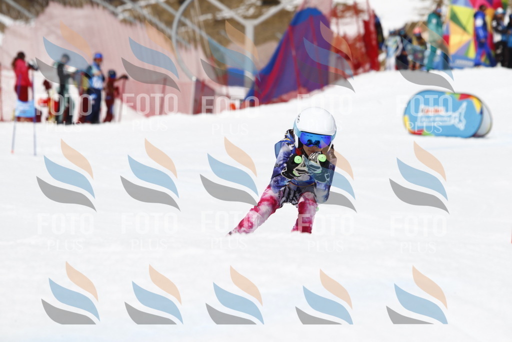 _U3G8122 | holidayphoto