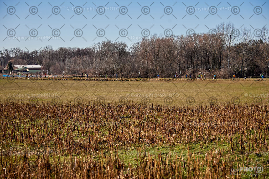 C+W_118_202601_NJL-SGU_D3X_4060 | proPHOTO - Realisiert mit Pictrs.com