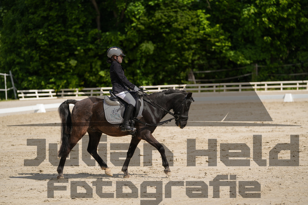 DSC03145 | Julian Held Fotografie - Realisiert mit Pictrs.com