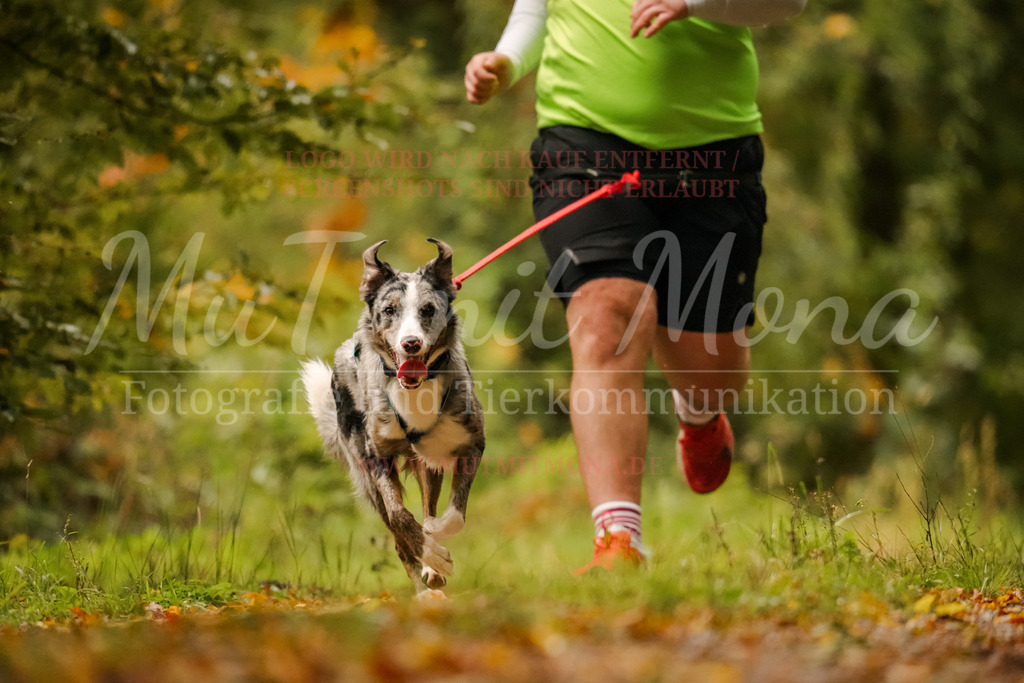 20251005_THS_Turnier-65 | MuT (Mensch und Tier) mit Mona - Fotografie und Tierkommunikation - Realisiert mit Pictrs.com