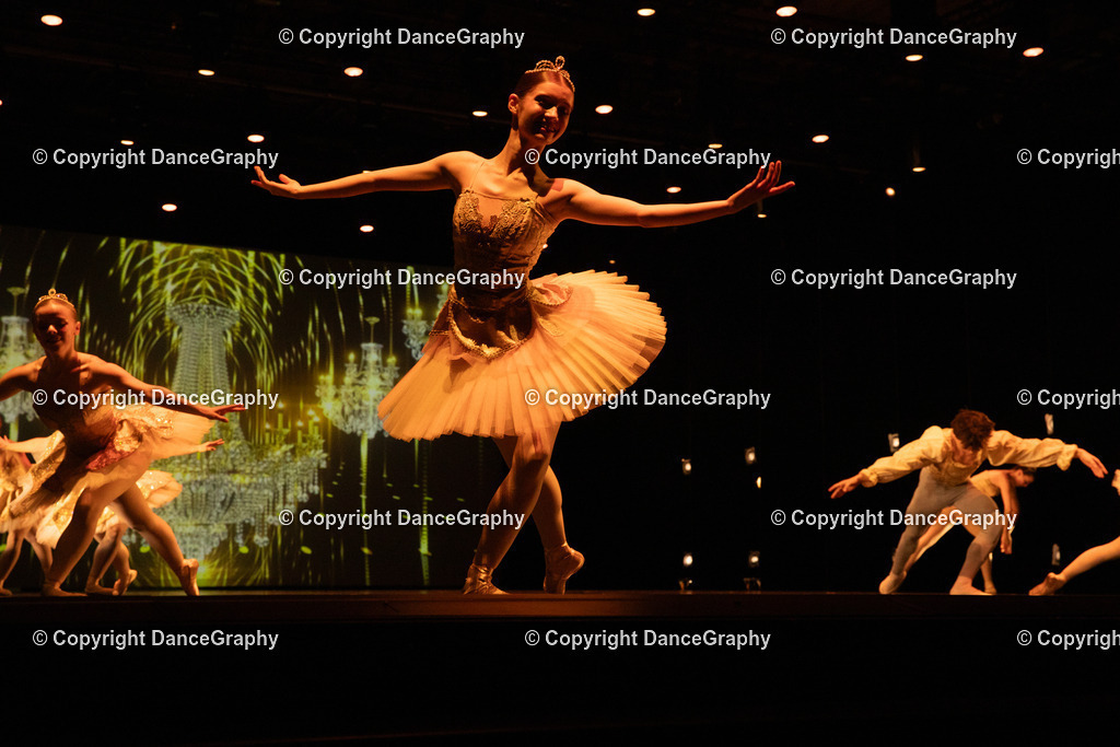 GPHY4533 | DanceGraphy - Realisiert mit Pictrs.com