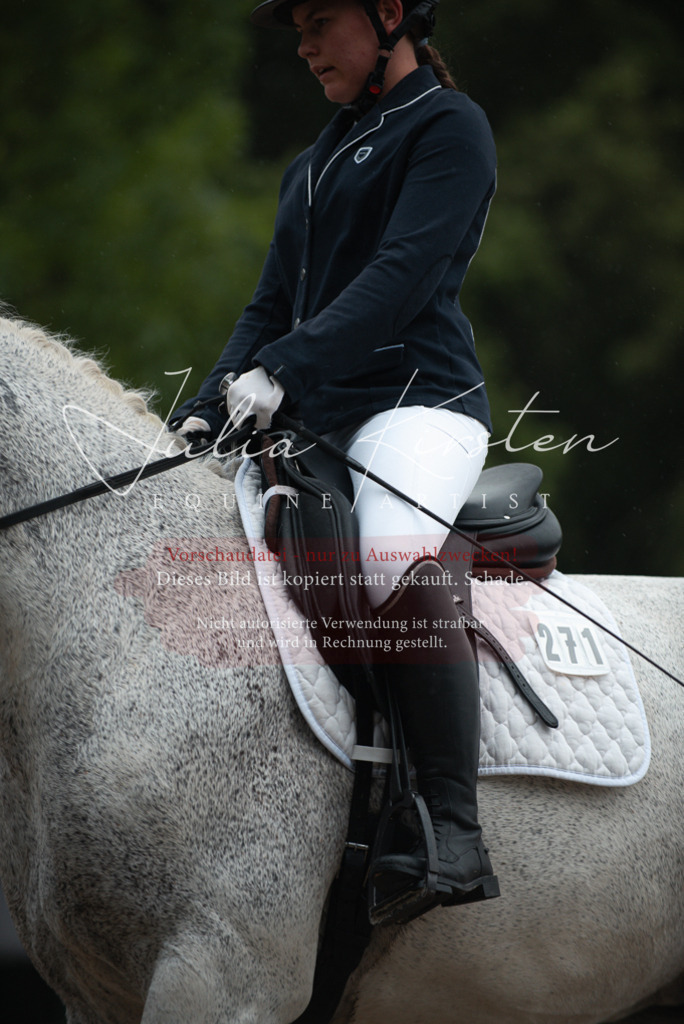 DSC_9685 | Pferde- und Turnierfotografie in Westsachsen. Pferdeportraits, Auftragszeichnungen und intuitive Kunst.