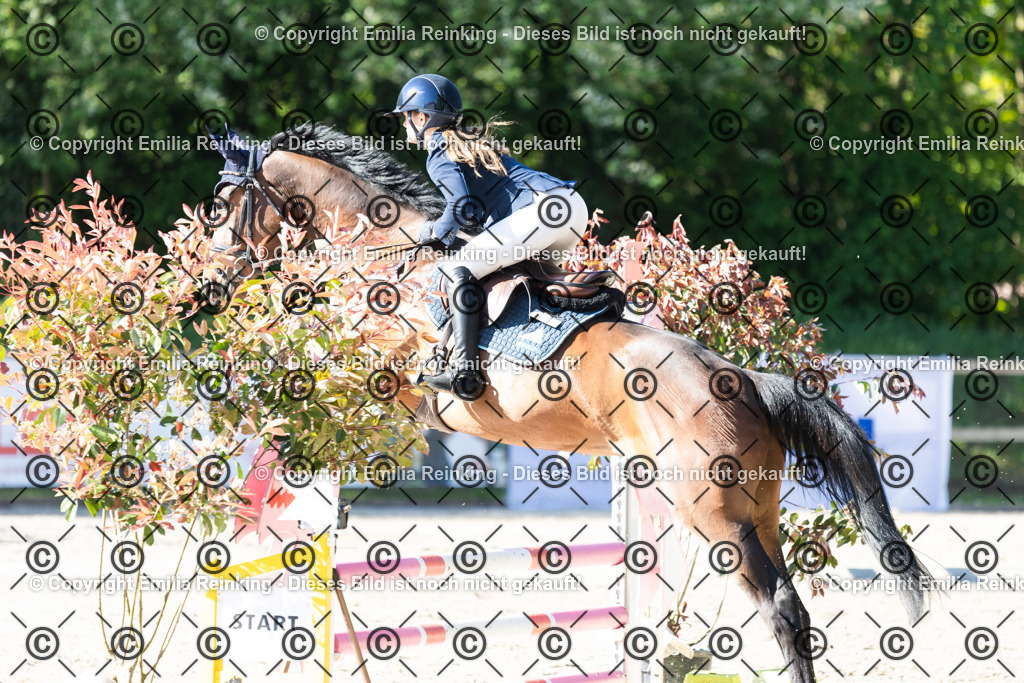 CL5A1622 | Emilia Reinking Fotografie - Realisiert mit Pictrs.com