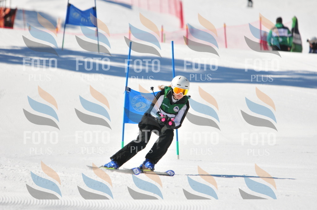 C4260 | holidayphoto