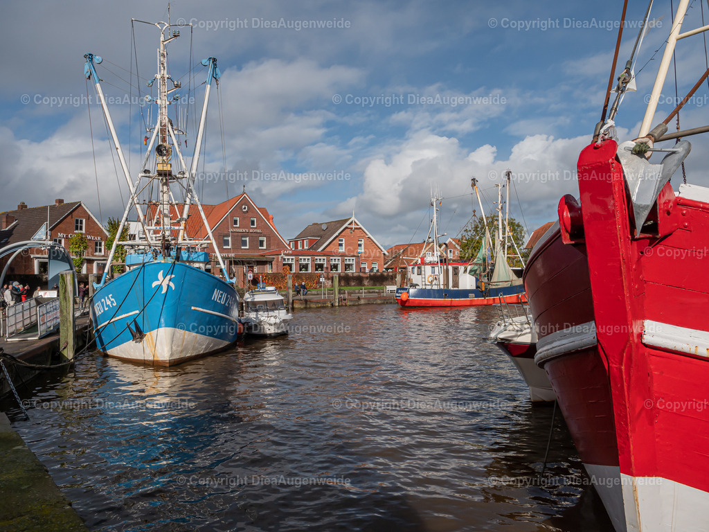 _1100310 | DieAugenweide Galerie, Bilder von Fotograf Ralf-Udo Thiele. Auswählen und bestellen auf verschiedenen Materialien und Größen. - Realisiert mit Pictrs.com