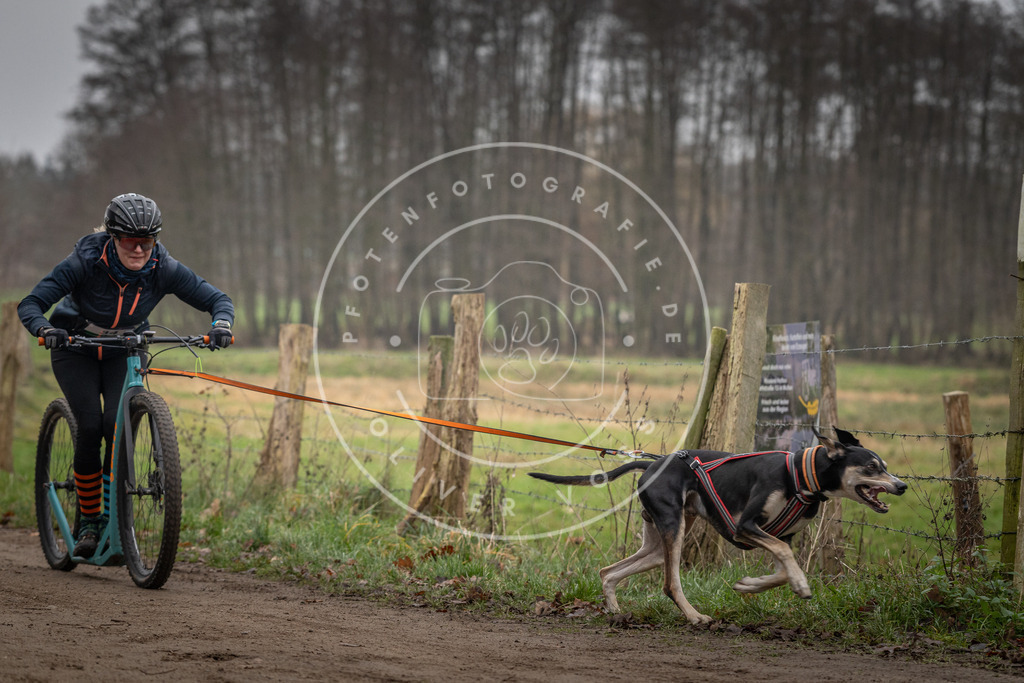 Pfotenfotografie_DV3A2399 | Hundefotografie, Tierfotograf, Pfotenfotografie, Fotoshooting Hund, Hunde Portrait, Hundesport, Hundeportraits, Heideshooting, Hunde, Sportfotograf, Hundefotograf, Turnierhundsport, THS,  - Realisiert mit Pictrs.com