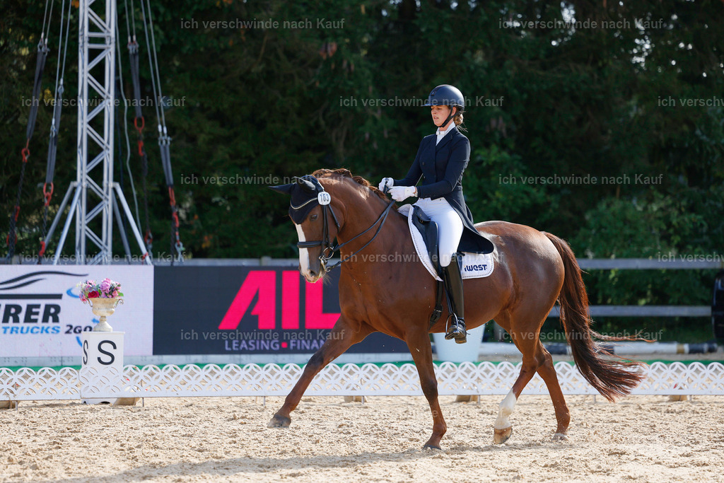 09_2-163-DRESSUR  S_  -StoibPH-5733 | working equitationturnier fotograf videograf stoibphotography marixx film working equitation deutschland reitsport turnierfotografie eventfotografie equestrian events