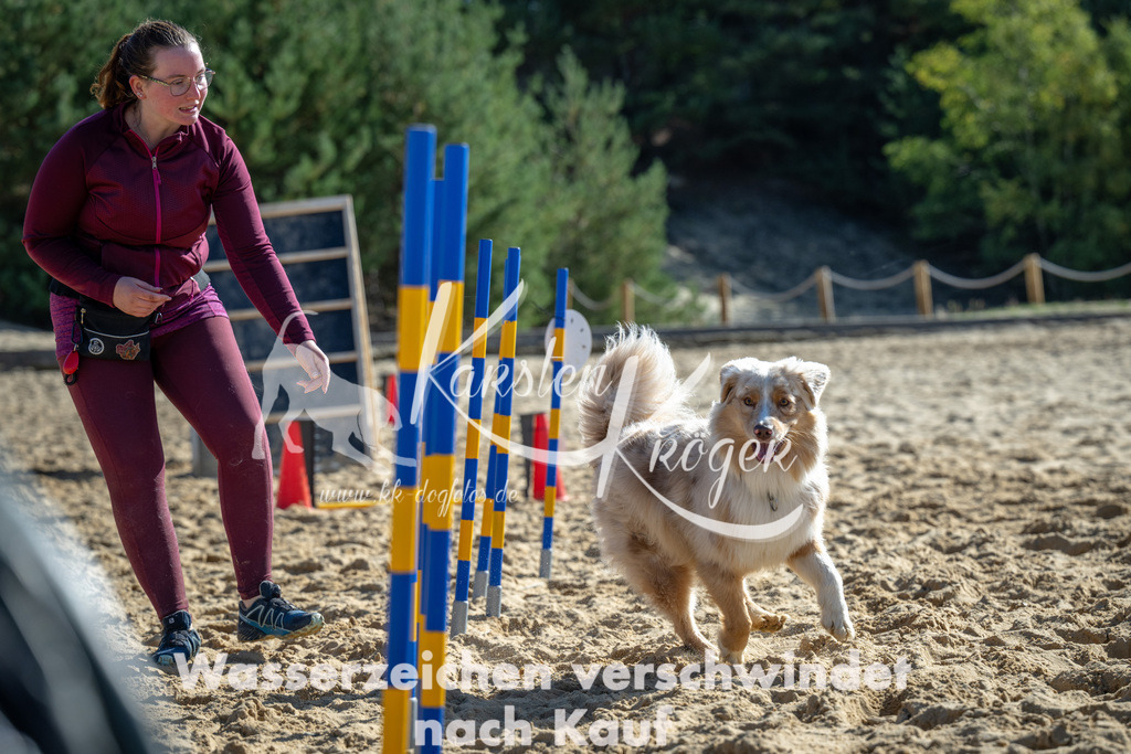 1218_ZZ92813-2 | kk-dogfotos