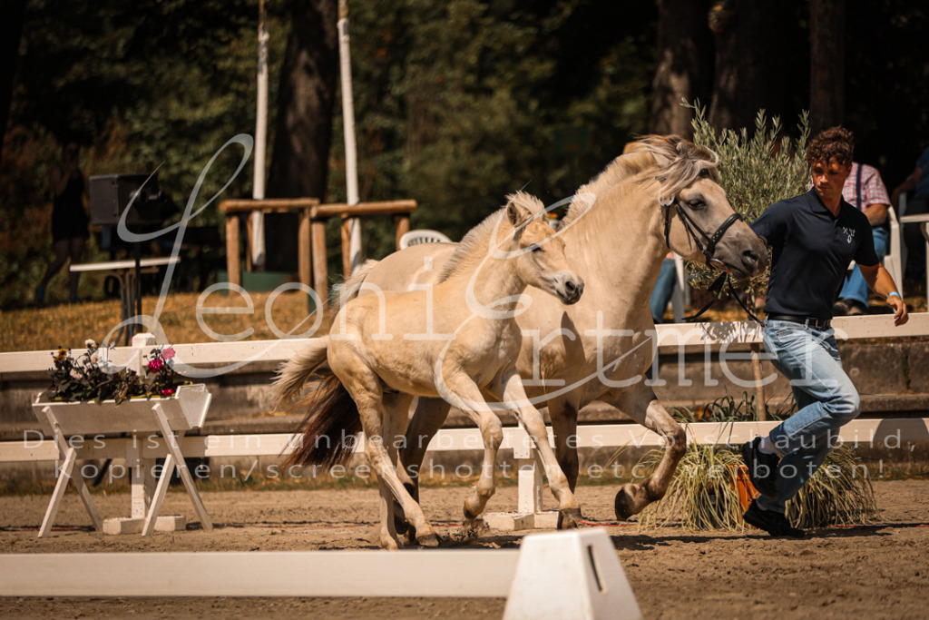 05.DoF00041 | Leoni Ertmer Photography - Realisiert mit Pictrs.com