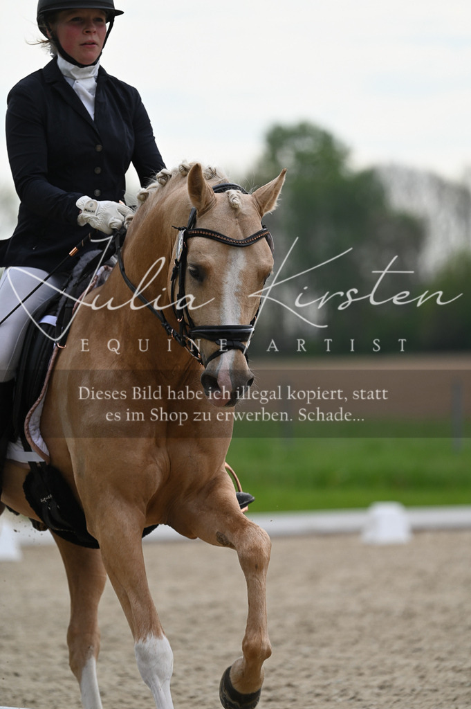 20230512_JK-Röhrsdorf-02-117 | Pferde- und Turnierfotografie in Westsachsen. Pferdeportraits, Auftragszeichnungen und intuitive Kunst.