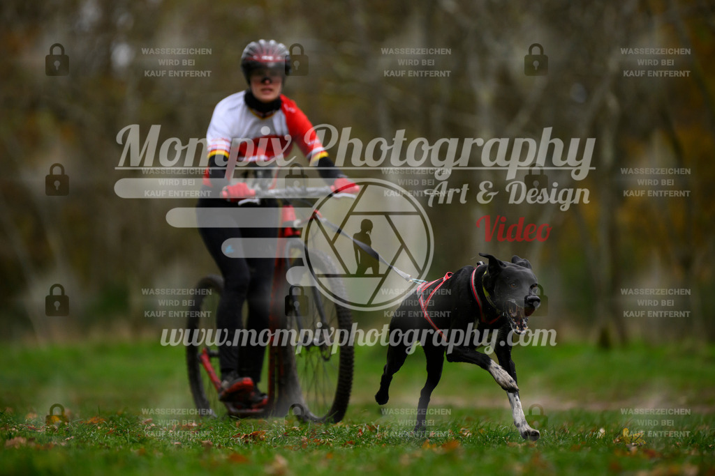 MompixPhotography_Bischwiller24_SA_DS1-3 | PayLife
