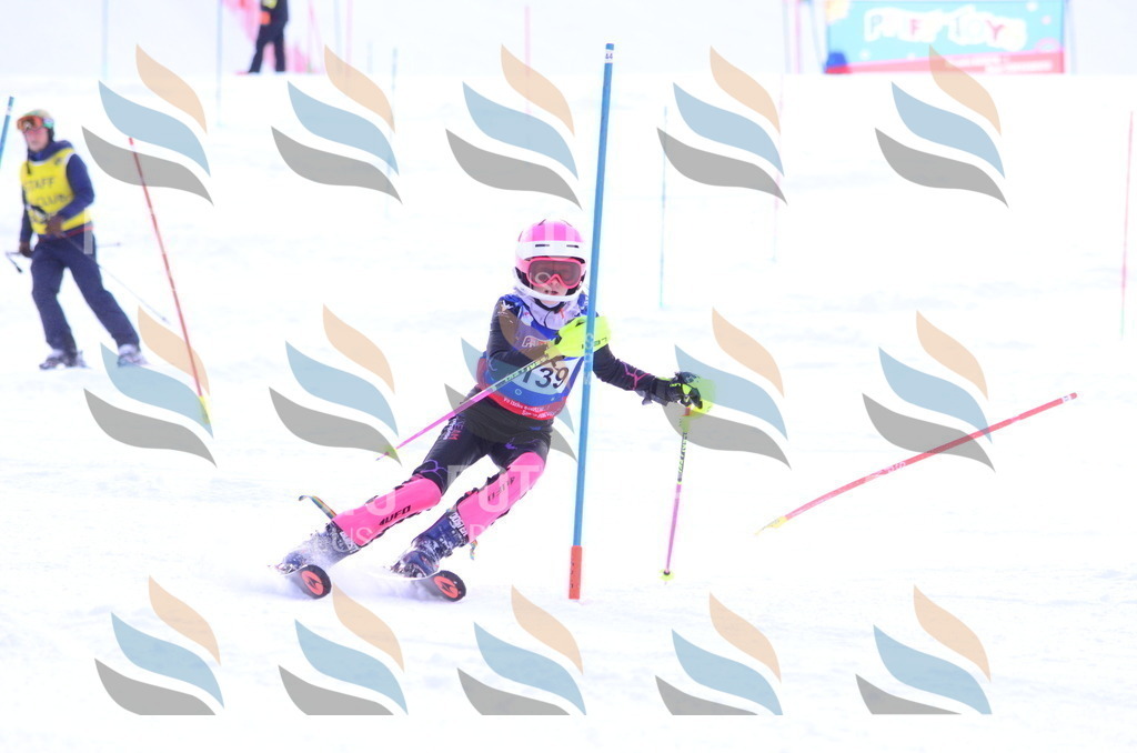 B1835 | holidayphoto