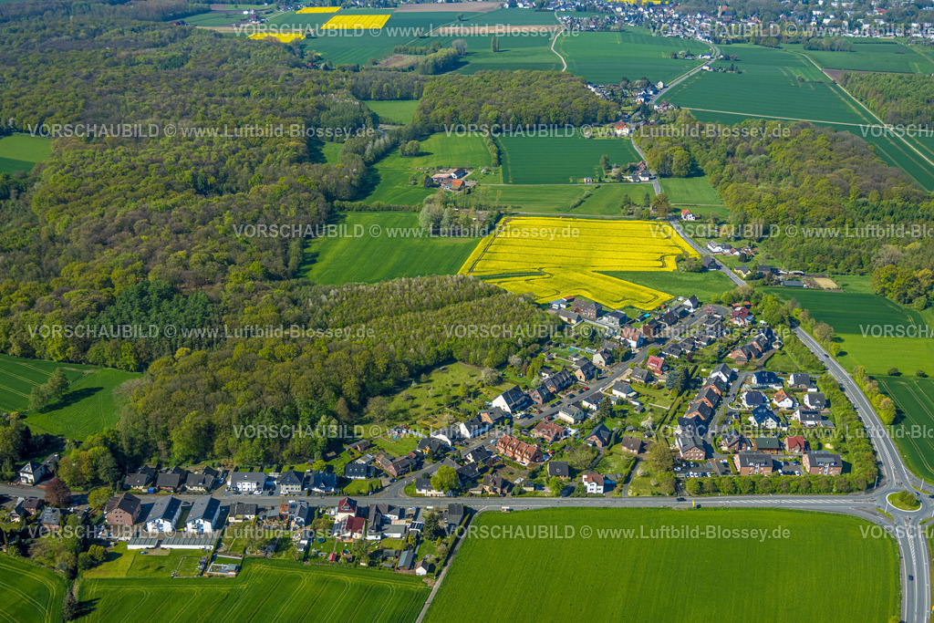 Kamen230406194 | Luftbild, Rapsfelder, Wohngebiet Lanstroper Straße, Methler, Kamen, Ruhrgebiet, Nordrhein-Westfalen, Deutschland