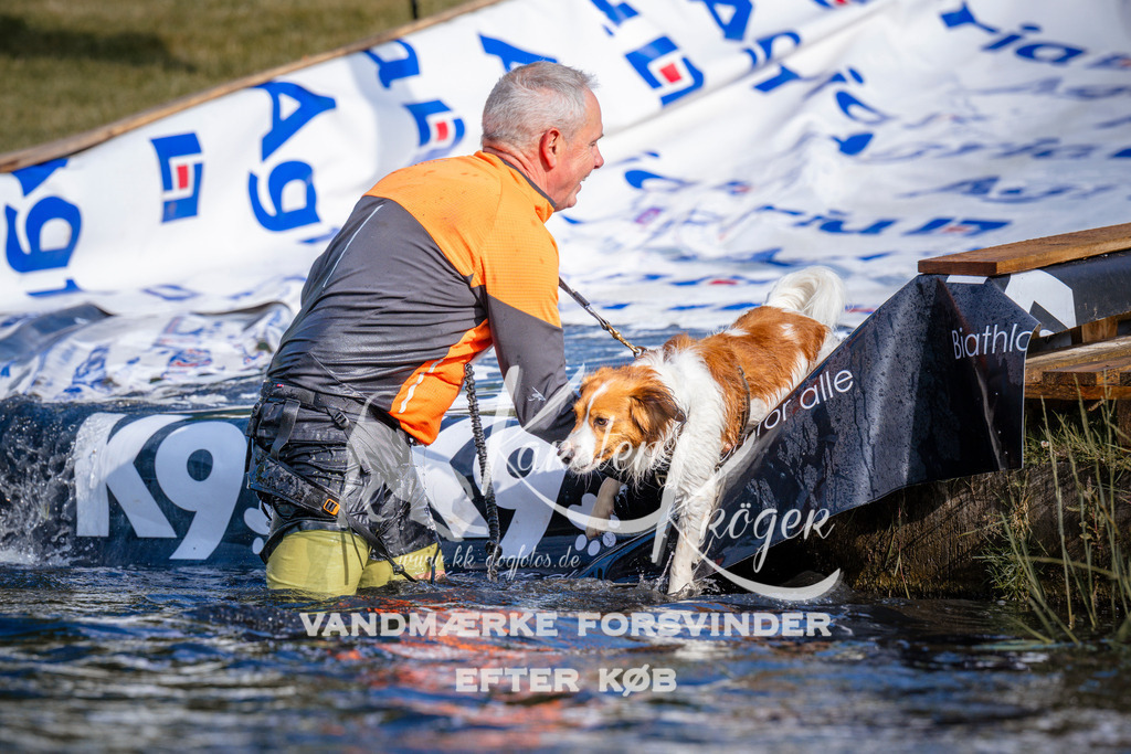 _ZZ965130734 | kk-dogfotos