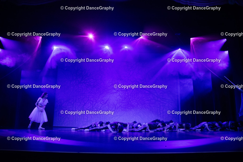 GPHY2766 | DanceGraphy - Realisiert mit Pictrs.com