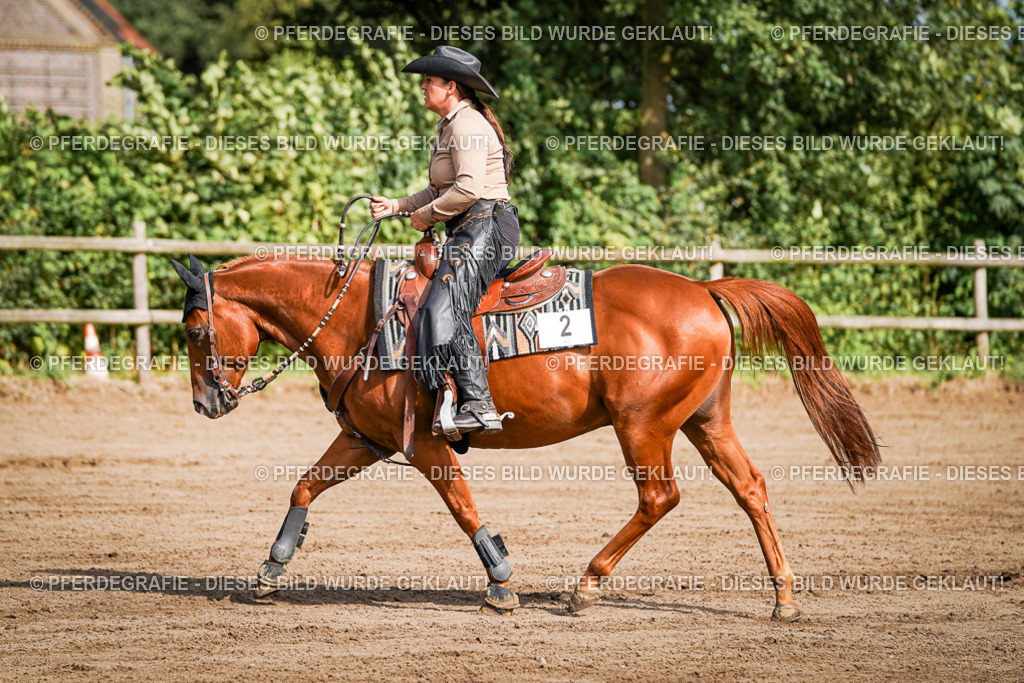 DSC09595 | Pferdegrafie