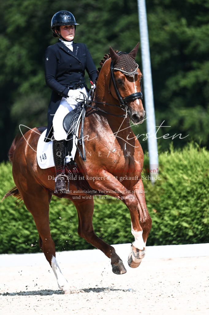 DSC_2865 | Pferde- und Turnierfotografie in Westsachsen. Pferdeportraits, Auftragszeichnungen und intuitive Kunst.