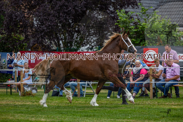 3_MG_3636 (3756) | mandyhollmannphotographie