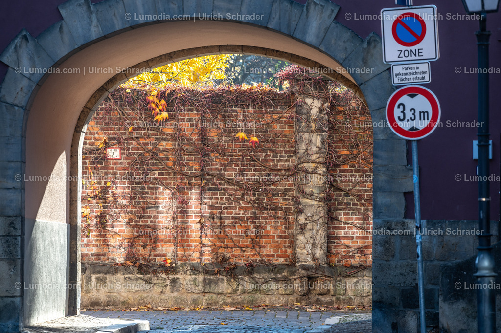 10049-13823 - Am Johanniskloster in Halberstadt | Stockfoto und Bilderpool mit Bildmaterial aus Deutschland, dem Harz, Halberstadt, Quedlinburg, Wernigerode und weltweit. Qualitativ hochwertige und professionelle Fotos anschauen und kaufen. - Realisiert mit Pictrs.com