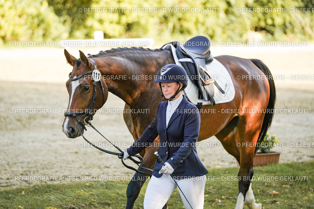 DSC05934 | Pferdegrafie