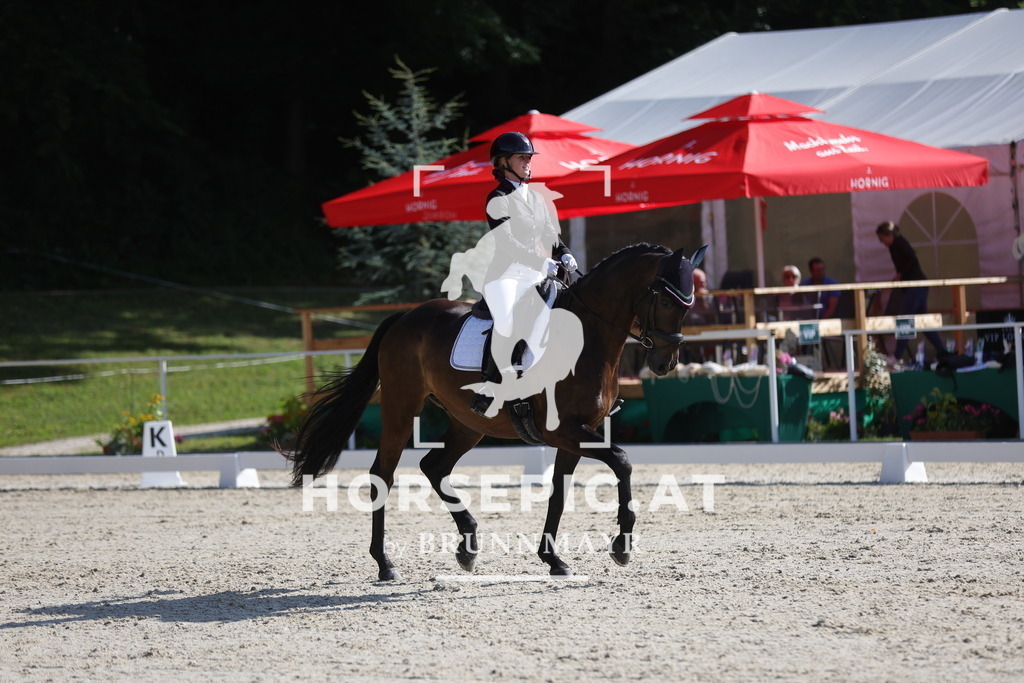 0P6A4570 | Willkommen bei Brunnmayr - Design & Fotografie – Ihrem Spezialisten für Reitturniere und Pferdeveranstaltungen in Oberösterreich, Salzburg und Bayern! Seit über 17 Jahren sind wir leidenschaftlich dabei.