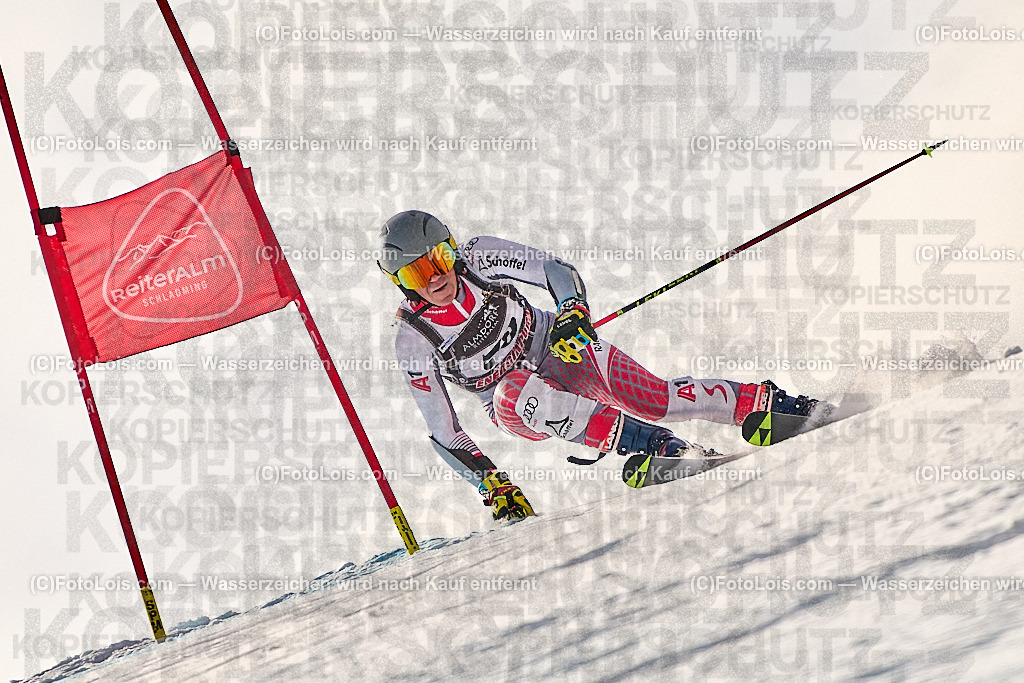 _ALP1568_MASTERS-WM_Reiteralm_A-GS_Schellhorn Christian | FISWORLD CHAMPIONSHIPSMASTERS ALPINE SKIING, 23. – 28. MÄRZ 2026 - REITERALM | STMK | AUT.   Veranstaltet vom Masters-Referat des Deutschen Skiverbandes (DSV). Durchführende Organisation: WSV Pichl-Reiteralm, unterstütutzt von den Bergbahnen REITERALM bei Schladming und SKI AUSTRIA.                            Disziplinen:  Super-G, GiantSlalom, Slalom.                                                 Kategorien:  A (Herrn 30-59 Jahre), B (Herrn ab 60 Jahre), C (Damen 30-59 Jahre), D (Damen ab 60 Jahre).                Rennstrecken:   Gasselhöhe und Muldenliftpiste auf der Reiteralm.