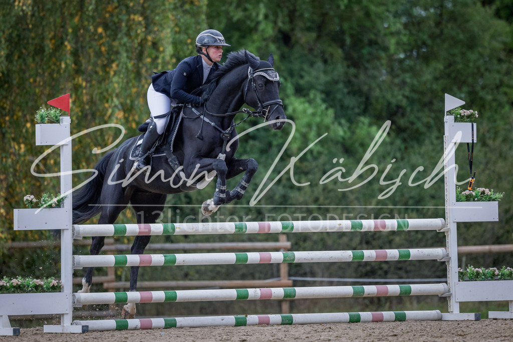 20251012-_3LI3870 | Tierfotografie Pferde, Hunde, Katzen, Haustiere.
Turnierfotografie Reitturniere, Reiten, Springreiten, Dressur in Hanau, dem Main-Kinzig-Kreis und dem Rhein-Main- Gebiet um Frankfurt