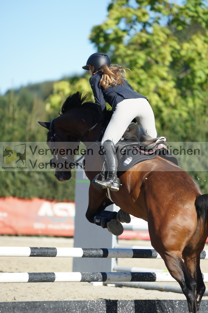 DSC08276 | equestrian-live-com