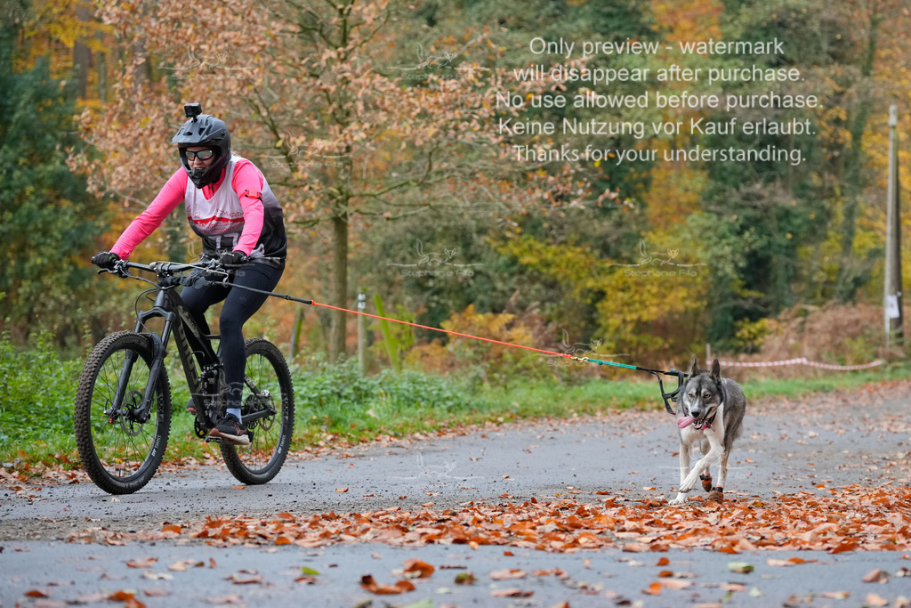 Bike_So-204 | stephaniefillaphotographie - Realisiert mit Pictrs.com