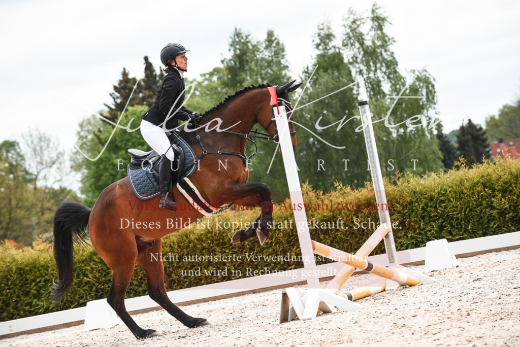 20230518_JK-Röhrsdorf-10-349 | Pferde- und Turnierfotografie in Westsachsen. Pferdeportraits, Auftragszeichnungen und intuitive Kunst.