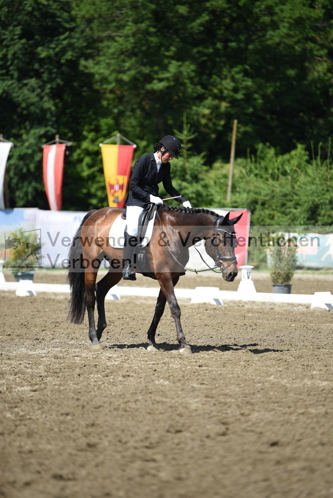 DSC_0138 | equestrian-live-com