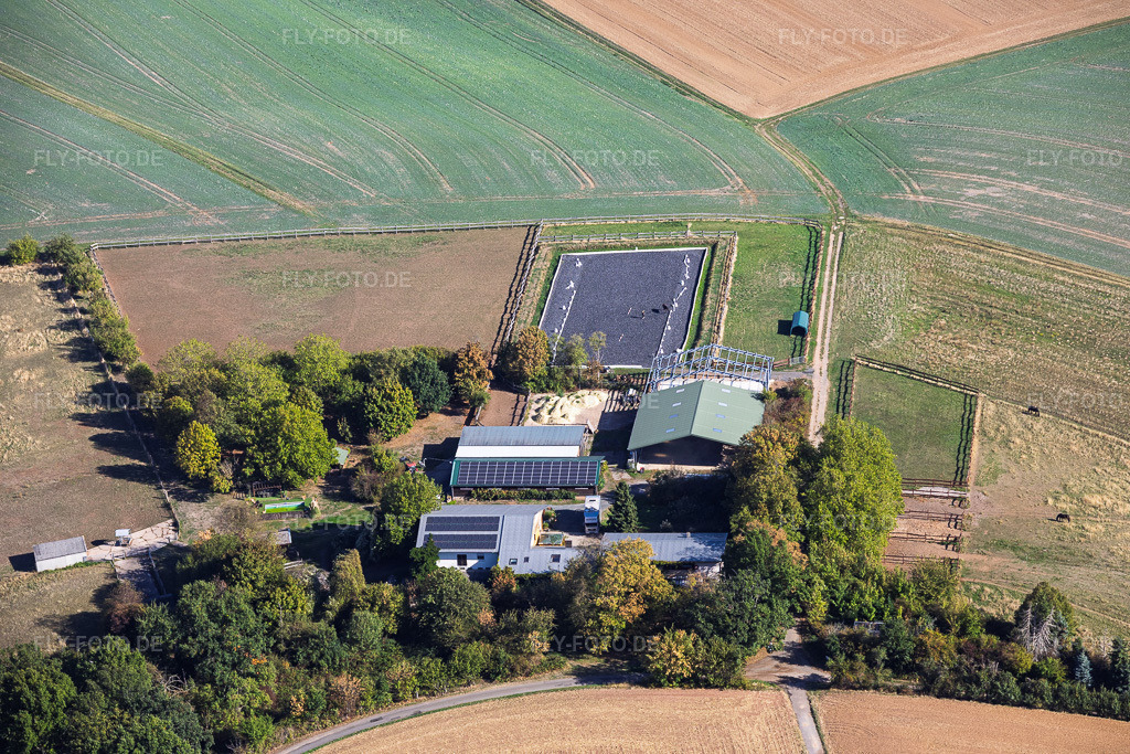 Luftbild: Heil Pferdehöfe im Ortsteil Klein-Umstadt in Groß-Umstadt im Bundesland Hessen in Deutschland. – Foto: IMG_159127.jpg vom 22.09.2026 durch Werner Riehm/FLY-FOTO.de – Auflösung des Originals: 6000 x 4000 px – WWW.HEIL-PFERDEHOEFE.DE