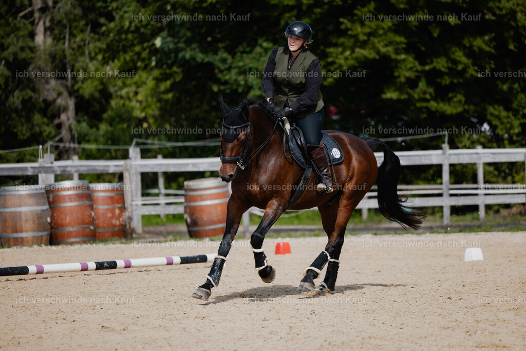 Lara_21_FHC2025-49 | working equitationturnier fotograf videograf stoibphotography marixx film working equitation deutschland reitsport turnierfotografie eventfotografie equestrian events