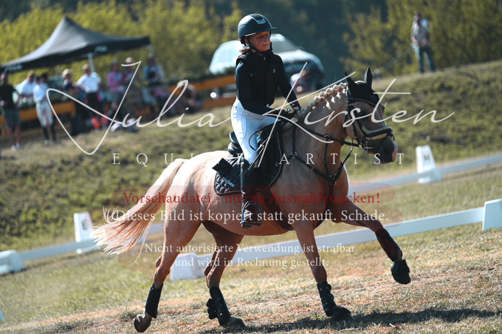 DSC_7928 | Pferde- und Turnierfotografie in Westsachsen. Pferdeportraits, Auftragszeichnungen und intuitive Kunst.