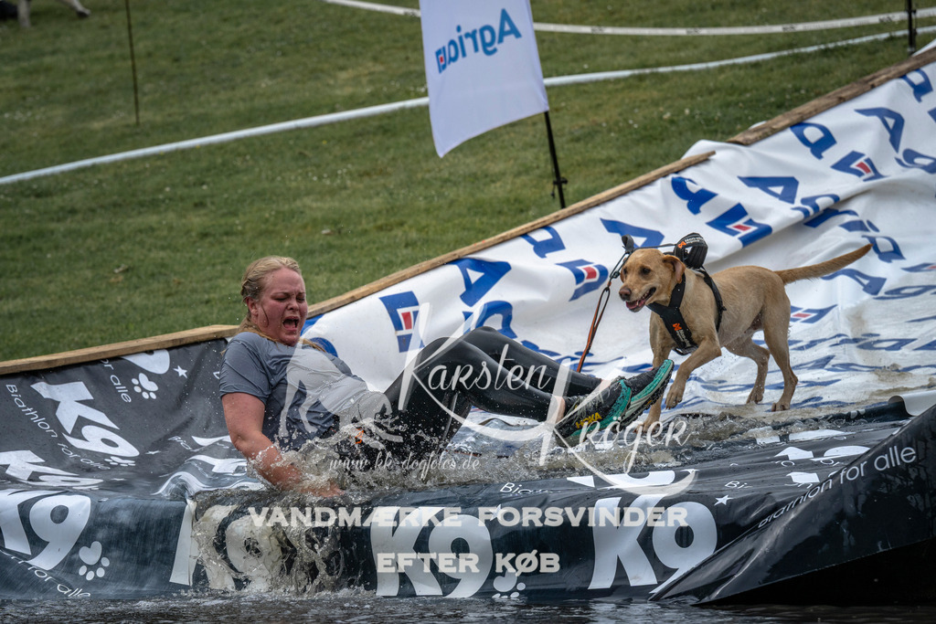 1537_ZZ95700 | kk-dogfotos