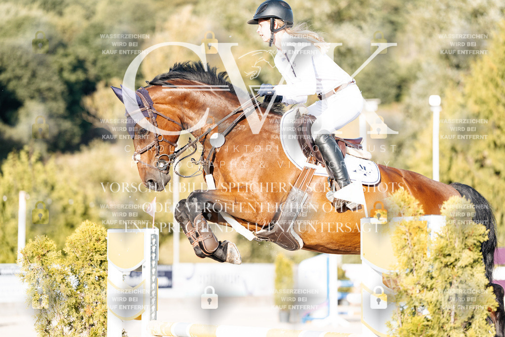 CK900642 | Turnierfotografie Pferdefotografie Trier Rheinland-Pfalz Pferdesport Reitsport Tierfotografie Sportfotografie Pferdevideo Pferdevideografie Equestrianvideography equestrianphotography  - Realisiert mit Pictrs.com