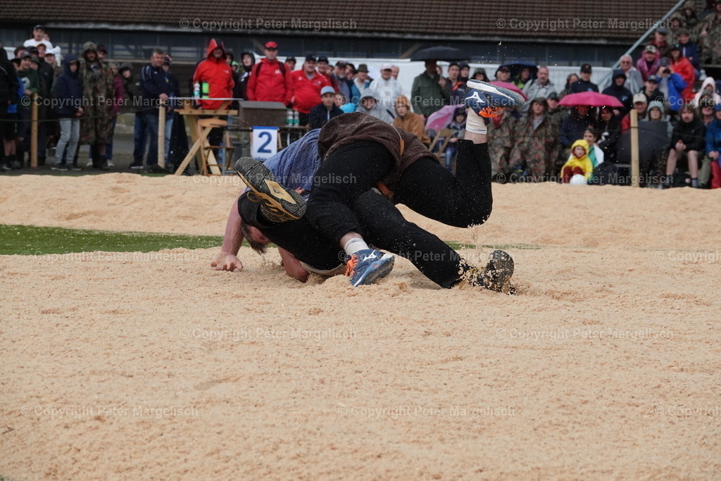 DSC03725 | Schwingen - Realisiert mit Pictrs.com