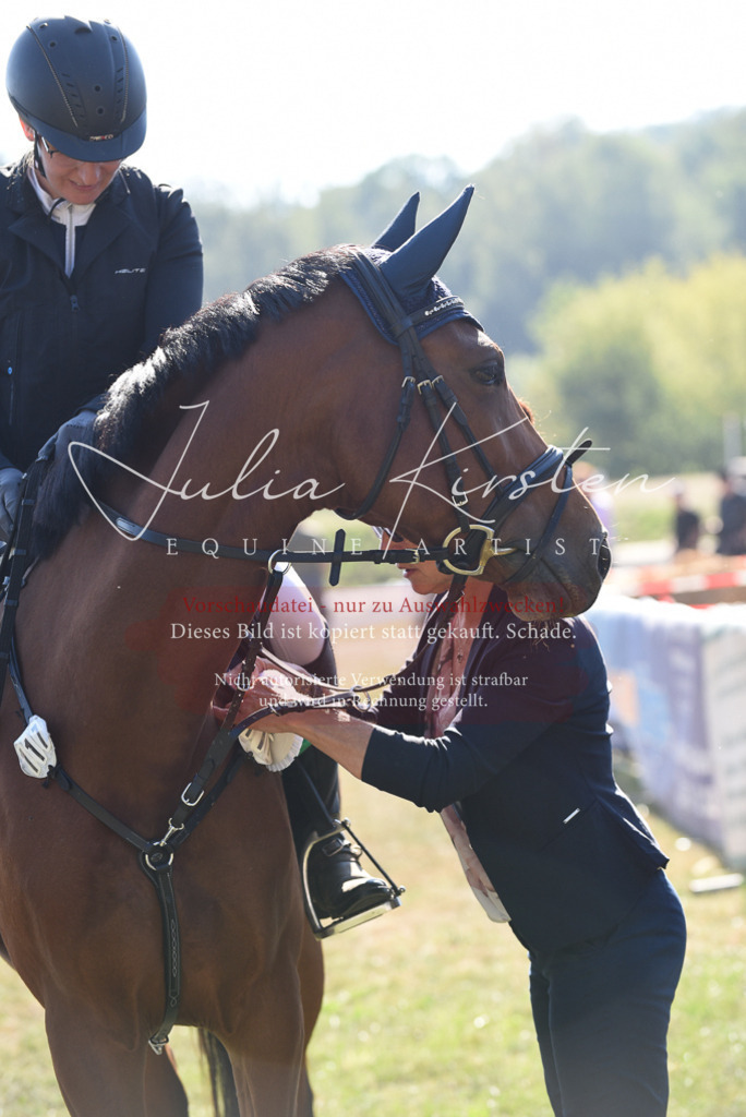 DSC_5484 | Pferde- und Turnierfotografie in Westsachsen. Pferdeportraits, Auftragszeichnungen und intuitive Kunst.